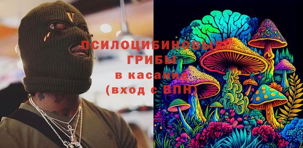 мдпв Алзамай