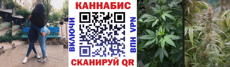 ссылка на мегу ссылка  Дыгулыбгей  Конопля планчик  купить закладку 